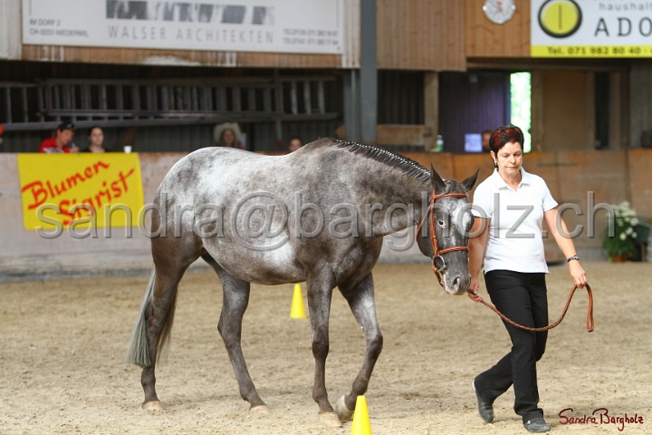 24-ApHC HIH_037.jpg